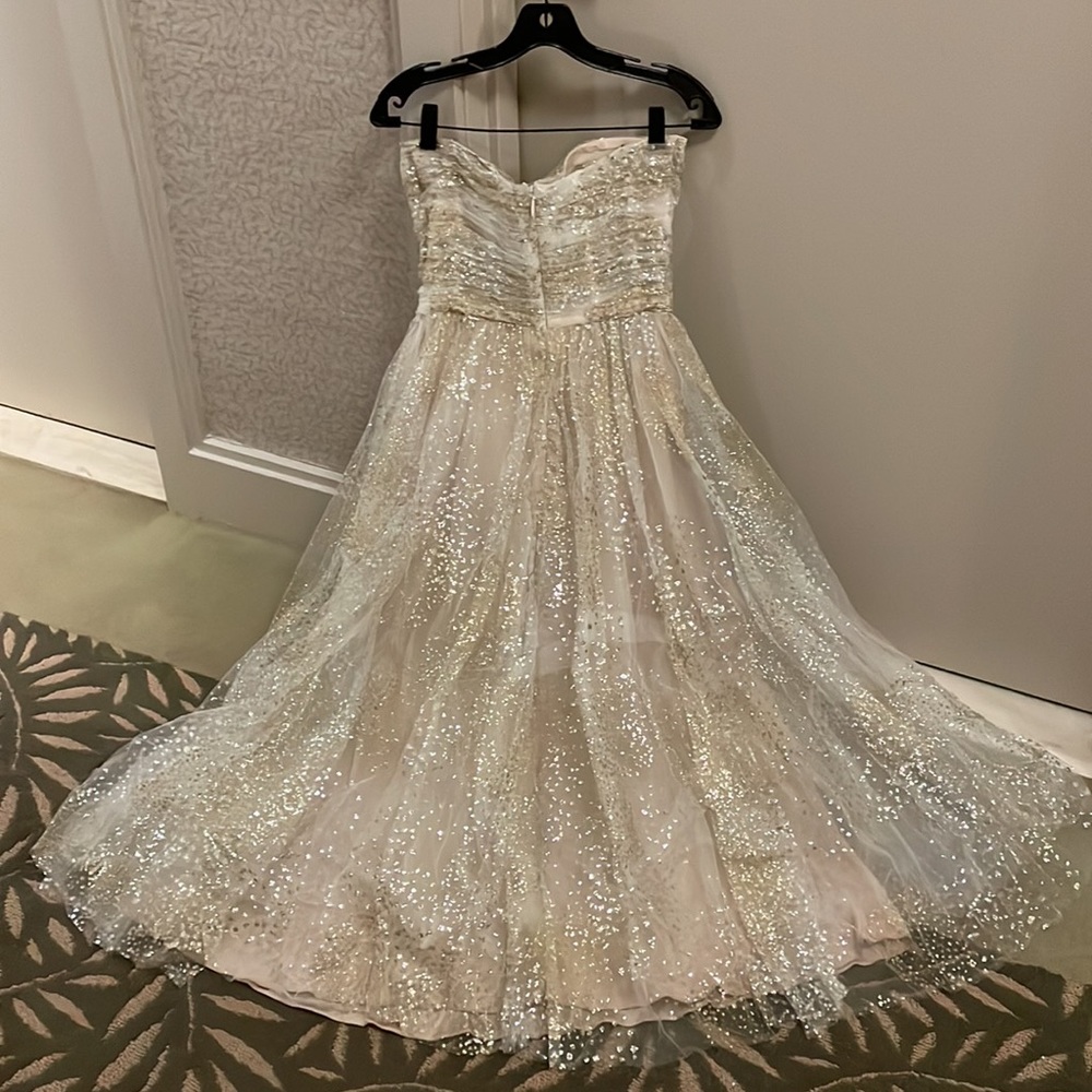 Monique Lhuillier Dress Glittery Strapless Chiffon Dress tea length size 10 - Picture 16 of 17